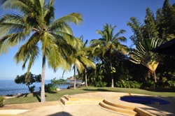 palms and pool